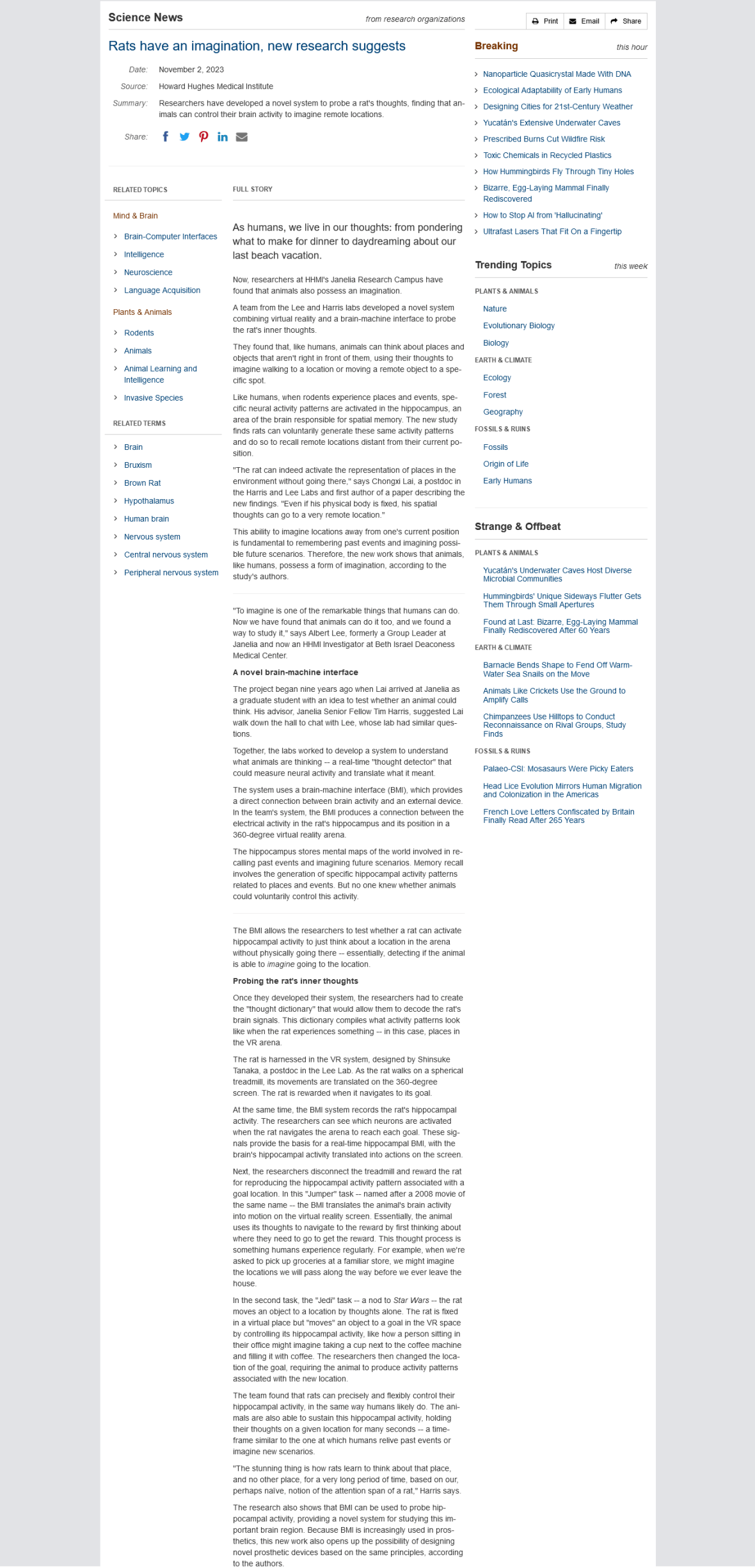 Screenshot 2023-11-13 at 16-24-39 Rats have an imagination new research suggests